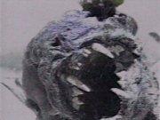 츄파카브라 죽은모습